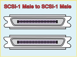 982006 SCSI Cable,  SCSI-1 (M) to SCSI-1 (M), Custom Length