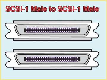 SCSI Cable,  SCSI-1 (M) to SCSI-1 (M), Custom Length