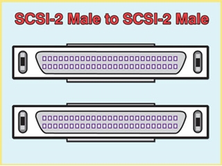 982010 SCSI Cables, SCSI-2 (M) to SCSI-2 (M), Custom Length