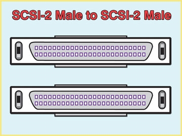 SCSI Cables, SCSI-2 (M) to SCSI-2 (M), Custom Lengthpecify length.
