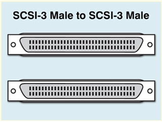 982016 SCSI Cable, SCSI-3 (M) to SCSI-3 (M) Custom Length