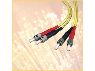 ST/ST Fiber Optic Cable Single Mode, PVC Riser, 1 Meter, 981866-01m