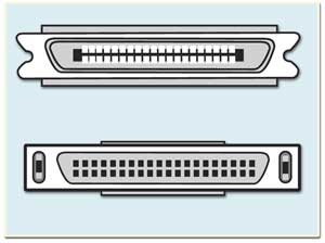 982008 SCSI Cable, SCSI-1 (M) to SCSI-2 (M), Custom Length