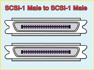 SCSI-1 Male to SCSI-1 Male cables.