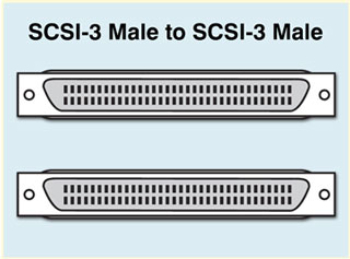 SCSI-3 male to SCSI-2 male cables